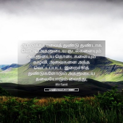 Picture 05 - யாத்திராகமம் 29:17 TAMIRV - ஆட்டுக்கடாவைத் - Bible Verse Picture