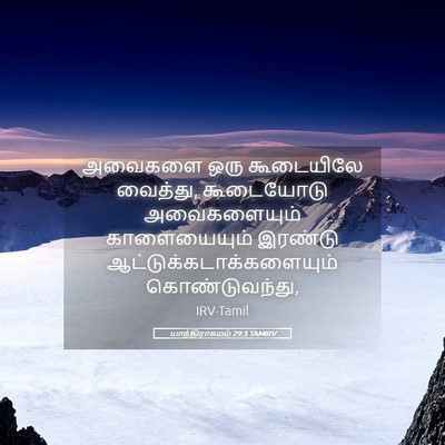 Picture 05 - யாத்திராகமம் 29:3 TAMIRV - அவைகளை ஒரு - Bible Verse Picture