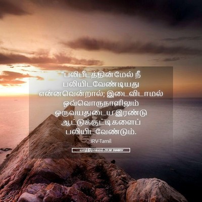 Picture 05 - யாத்திராகமம் 29:38 TAMIRV -  - Bible Verse Picture