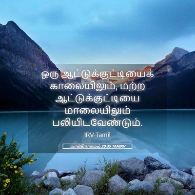 Picture 05 - யாத்திராகமம் 29:39 TAMIRV - ஒரு - Bible Verse Picture