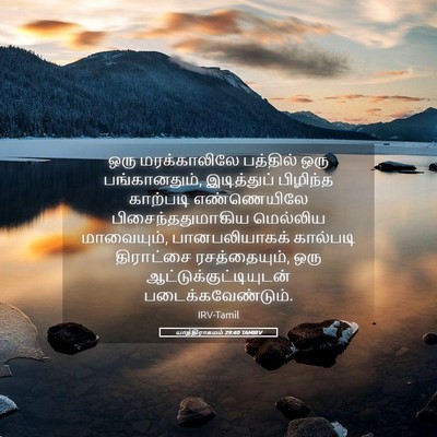 Picture 05 - யாத்திராகமம் 29:40 TAMIRV - ஒரு மரக்காலிலே - Bible Verse Picture