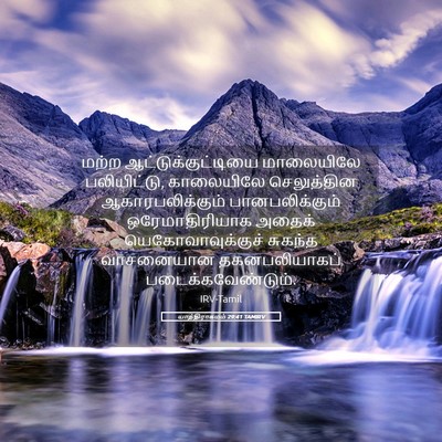Picture 05 - யாத்திராகமம் 29:41 TAMIRV - மற்ற - Bible Verse Picture