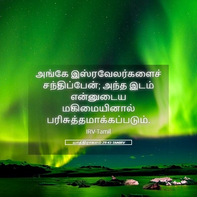 Picture 05 - யாத்திராகமம் 29:43 TAMIRV - அங்கே - Bible Verse Picture