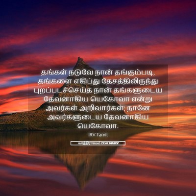 Picture 05 - யாத்திராகமம் 29:46 TAMIRV - தங்கள் நடுவே நான் - Bible Verse Picture