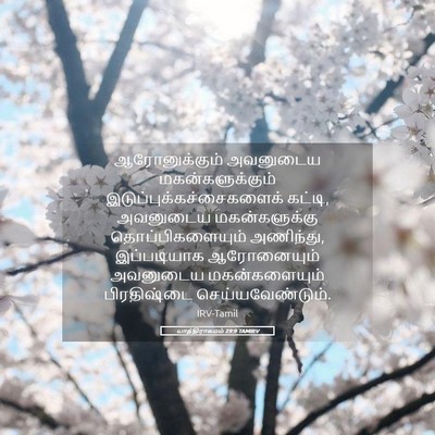 Picture 05 - யாத்திராகமம் 29:9 TAMIRV - ஆரோனுக்கும் - Bible Verse Picture