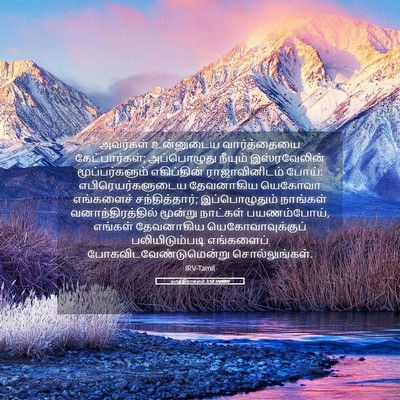 Picture 05 - யாத்திராகமம் 3:18 TAMIRV - அவர்கள் உன்னுடைய - Bible Verse Picture