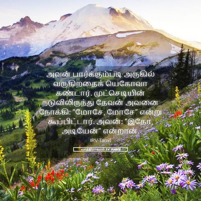 Picture 05 - யாத்திராகமம் 3:4 TAMIRV - அவன் - Bible Verse Picture