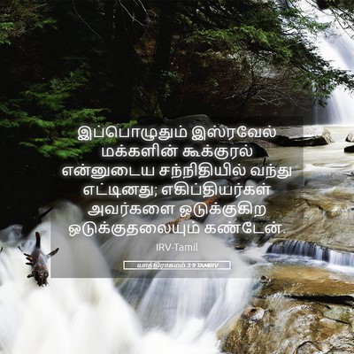 Picture 05 - யாத்திராகமம் 3:9 TAMIRV - இப்பொழுதும் - Bible Verse Picture