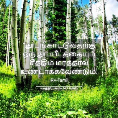 Picture 05 - யாத்திராகமம் 30:1 TAMIRV -  - Bible Verse Picture
