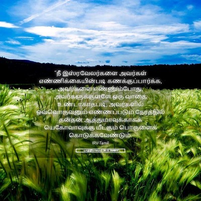 Picture 05 - யாத்திராகமம் 30:12 TAMIRV - “நீ இஸ்ரவேலர்களை - Bible Verse Picture