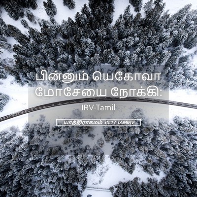 Picture 05 - யாத்திராகமம் 30:17 TAMIRV - பின்னும் யெகோவா - Bible Verse Picture