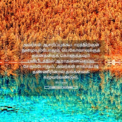 Picture 05 - யாத்திராகமம் 30:20 TAMIRV - அவர்கள் - Bible Verse Picture