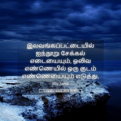 Picture 05 - யாத்திராகமம் 30:24 TAMIRV -  - Bible Verse Picture