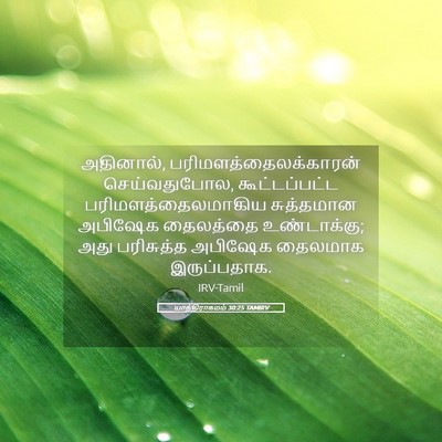 Picture 05 - யாத்திராகமம் 30:25 TAMIRV - அதினால், - Bible Verse Picture
