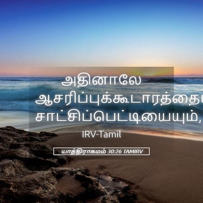 Picture 05 - யாத்திராகமம் 30:26 TAMIRV - அதினாலே - Bible Verse Picture