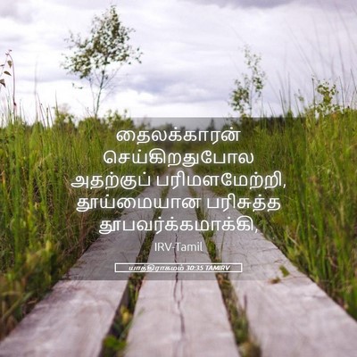 Picture 05 - யாத்திராகமம் 30:35 TAMIRV - தைலக்காரன் - Bible Verse Picture