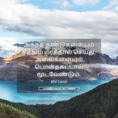 Picture 05 - யாத்திராகமம் 30:5 TAMIRV - அந்தத் - Bible Verse Picture