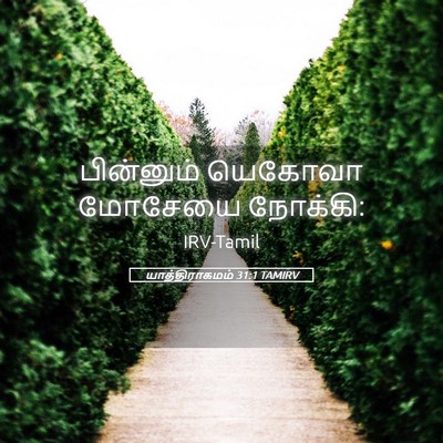 Picture 05 - யாத்திராகமம் 31:1 TAMIRV - பின்னும் யெகோவா - Bible Verse Picture
