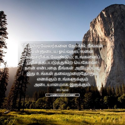 Picture 05 - யாத்திராகமம் 31:13 TAMIRV - “நீ இஸ்ரவேலர்களை - Bible Verse Picture