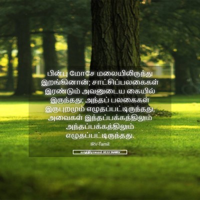 Picture 05 - யாத்திராகமம் 32:15 TAMIRV - பின்பு மோசே - Bible Verse Picture