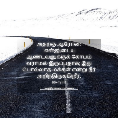 Picture 05 - யாத்திராகமம் 32:22 TAMIRV - அதற்கு ஆரோன்: - Bible Verse Picture