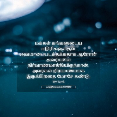 Picture 05 - யாத்திராகமம் 32:25 TAMIRV - மக்கள் தங்களுடைய - Bible Verse Picture