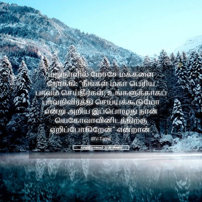 Picture 05 - யாத்திராகமம் 32:30 TAMIRV - மறுநாளில் மோசே - Bible Verse Picture