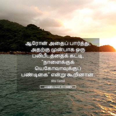 Picture 05 - யாத்திராகமம் 32:5 TAMIRV - ஆரோன் அதைப் - Bible Verse Picture