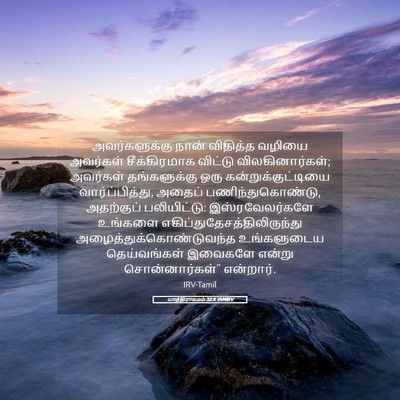 Picture 05 - யாத்திராகமம் 32:8 TAMIRV - அவர்களுக்கு நான் - Bible Verse Picture