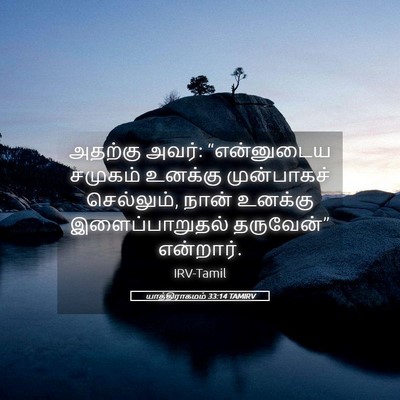 Picture 05 - யாத்திராகமம் 33:14 TAMIRV - அதற்கு அவர்: - Bible Verse Picture