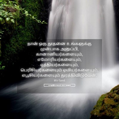 Picture 05 - யாத்திராகமம் 33:2 TAMIRV - நான் ஒரு தூதனை - Bible Verse Picture
