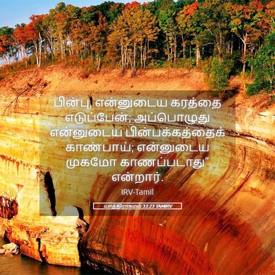 Picture 05 - யாத்திராகமம் 33:23 TAMIRV - பின்பு, என்னுடைய - Bible Verse Picture