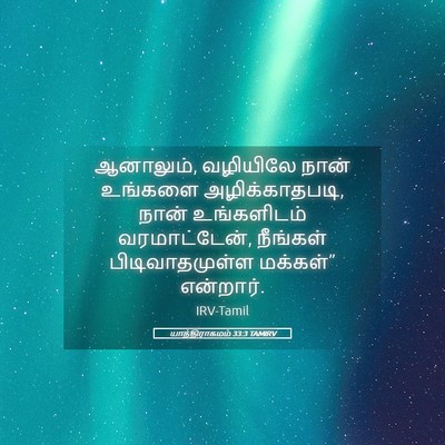 Picture 05 - யாத்திராகமம் 33:3 TAMIRV - ஆனாலும், வழியிலே - Bible Verse Picture