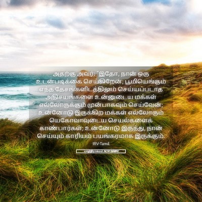 Picture 05 - யாத்திராகமம் 34:10 TAMIRV - அதற்கு அவர்: “இதோ, - Bible Verse Picture