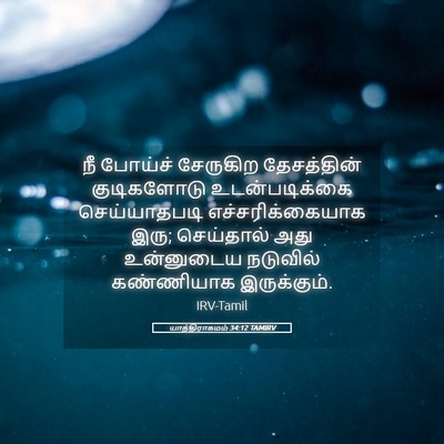 Picture 05 - யாத்திராகமம் 34:12 TAMIRV - நீ போய்ச் சேருகிற - Bible Verse Picture