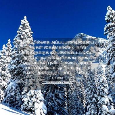 Picture 05 - யாத்திராகமம் 34:18 TAMIRV - புளிப்பில்லாத - Bible Verse Picture