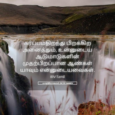 Picture 05 - யாத்திராகமம் 34:19 TAMIRV - கர்ப்பம்திறந்து - Bible Verse Picture