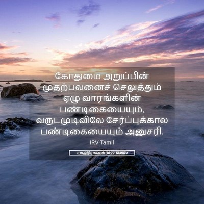 Picture 05 - யாத்திராகமம் 34:22 TAMIRV - கோதுமை அறுப்பின் - Bible Verse Picture