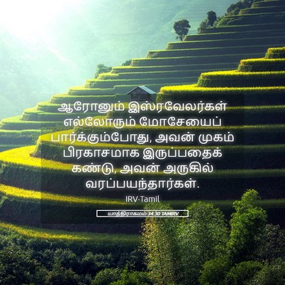 Picture 05 - யாத்திராகமம் 34:30 TAMIRV - ஆரோனும் - Bible Verse Picture