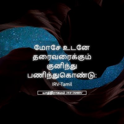 Picture 05 - யாத்திராகமம் 34:8 TAMIRV - மோசே உடனே - Bible Verse Picture