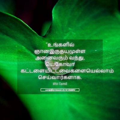 Picture 05 - யாத்திராகமம் 35:10 TAMIRV - “உங்களில் - Bible Verse Picture
