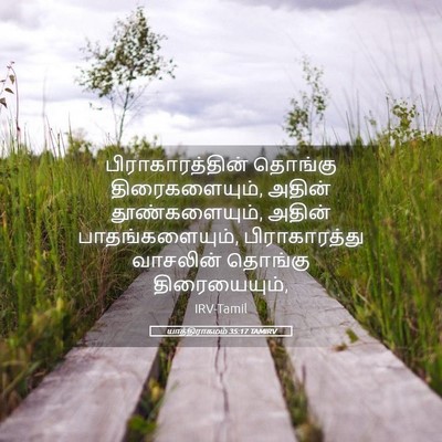Picture 05 - யாத்திராகமம் 35:17 TAMIRV - பிராகாரத்தின் - Bible Verse Picture