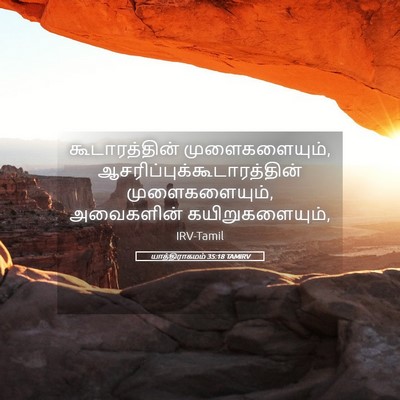 Picture 05 - யாத்திராகமம் 35:18 TAMIRV - கூடாரத்தின் - Bible Verse Picture