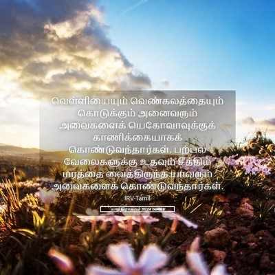 Picture 05 - யாத்திராகமம் 35:24 TAMIRV - வெள்ளியையும் - Bible Verse Picture