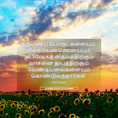 Picture 05 - யாத்திராகமம் 35:28 TAMIRV - நறுமணப் - Bible Verse Picture