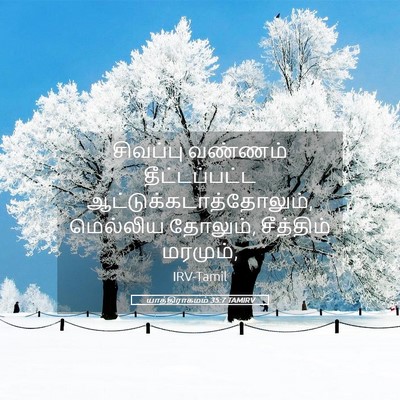 Picture 05 - யாத்திராகமம் 35:7 TAMIRV - சிவப்பு வண்ணம் - Bible Verse Picture