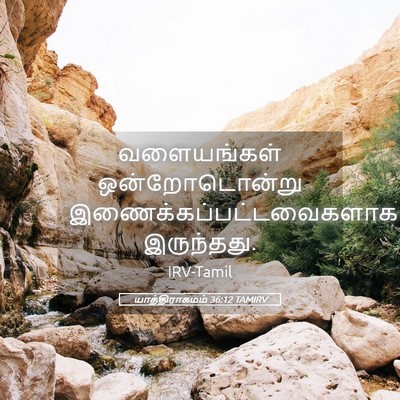 Picture 05 - யாத்திராகமம் 36:12 TAMIRV - வளையங்கள் - Bible Verse Picture