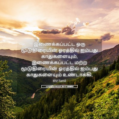 Picture 05 - யாத்திராகமம் 36:17 TAMIRV - இணைக்கப்பட்ட ஒரு - Bible Verse Picture