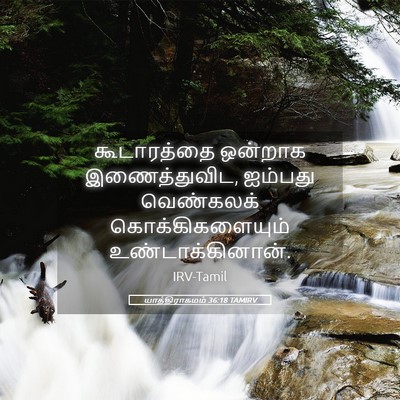 Picture 05 - யாத்திராகமம் 36:18 TAMIRV - கூடாரத்தை ஒன்றாக - Bible Verse Picture
