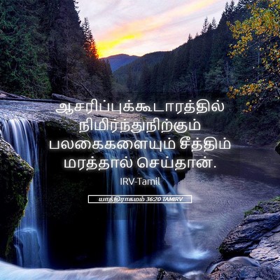 Picture 05 - யாத்திராகமம் 36:20 TAMIRV -  - Bible Verse Picture